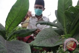 Satgas PB Bondowoso Sisir Radius Bahaya Raung