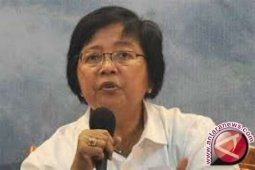 Menteri LHK pantau titik api di Jambi