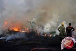 Gubernur Jambi : Perlu gerak cepat atasi kebakaran