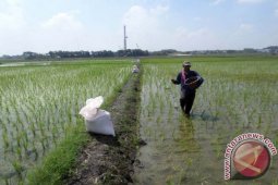 Bojonegoro Minta Petrokimia Tata Ulang Distribusi Pupuk