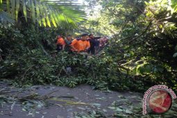 Cuaca Buruk Disertai Angin Kencang Hancurkan Rumah