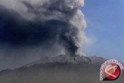Tinggi asap solfatara di Gunung Raung 1.500 meter