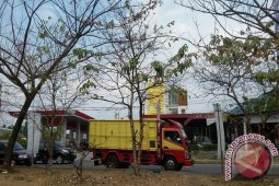 60 Persen Tanaman Di Bogor Mati Kekeringan