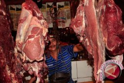 Distanbunnak Babel Minta Pedagang Tambah Pemotongan Sapi