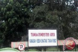 Lebaran - Objek wisata "taman rimba" Jambi dipadati pengunjung