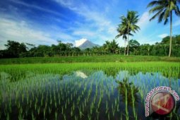 Pemerintah Wajib Terus Dorong Pertanian Kaltim