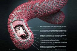 Vaksin Ebola, MERS 2 Miliar Dolar AS