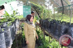 Kemarau Ancam Toga milik Warga