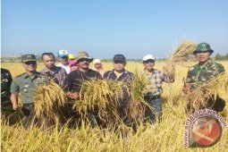 Petani Pamekasan Panen Perdana Demplot Tablet NPK