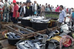 Harga Ikan Naik