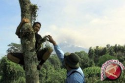 Polisi diminta serius ungkap pembakaran hutan anggrek
