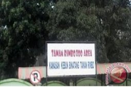 Lebaran - PAD Kebun Binatang Jambi hampir setengah miliar