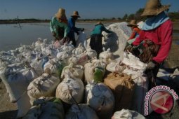 Harga Garam Madura
