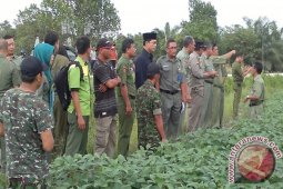 600 Hektare Lahan Pertanian Penajam Terancam Kekeringan