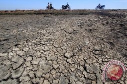 EL Nino dan antisipasi kekeringan di Indonesia