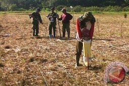 Kodim 1001 Konsisten Mendukung Swasembada Pangan