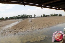 Dua kabupaten di Jambi siaga darurat