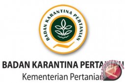 Karantina Pertanian Aceh Kekurangan SDM