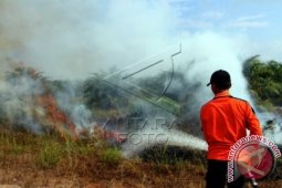 BNPB: Kebakaran Hutan dan Lahan Masih Terjadi