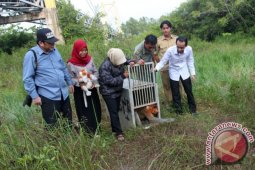 BKSDA Imbau Masyarakat Tidak Pelihara Satwa Dilindungi