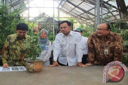 KRB Bentuk Tim Rawat Anggrek Iriana Jokowi