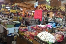 Harga Telur Ayam Di Denpasar Stabil