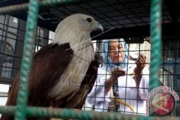 Berbagai Komunitas Kampanyekan Perlindungan Satwa