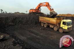 Pemerintah : Banyak perusahaan batubara Jambi tidak beroperasi