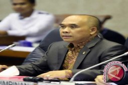 Anggota DPR kritik rencana impor garam