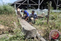 Bojonegoro akan Pindahkan Kayu Jati Temuan di Bengawan Solo