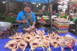 Harga Daging Ayam Mahal