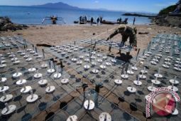 Manengkel Solidaritas ajar siswa lestarikan lingkungan pesisir