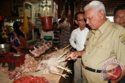Krisis Daging Sapi Tidak Terjadi di Kaltim