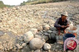Lima Kecamatan di Jambi terancam kekeringan
