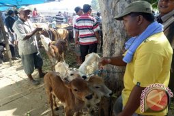 Pemkab Bojonegoro Tak Bisa Cegah Sapi Dijual