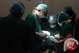 Terapi sel punca dapat mengurangi nyeri tulang belakang