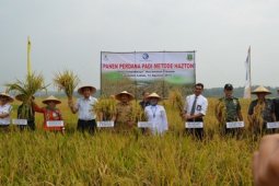 BI Banten Panen Padi Hazton Di Lebak