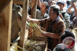 Pentas Ternak 2015 Motivasi Jabar Swasembada Pangan