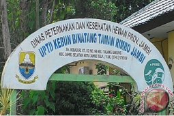 Taman Rimba Jambi sumbang PAD Rp1,57 miliar