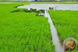 Kawasan Tapanuli Bagian Utara Butuh Bantuan Pertanian
