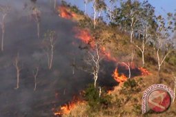 Belasan Hektare Hutan Gunung Kebo Trenggalek Terbakar
