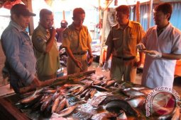 Disnakan Rejanglebong sidak peredaran ikan impor