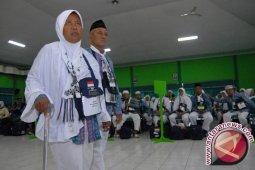 Jemaah haji diimbau tidak berfoto dengan unta