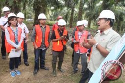 Minamas Tingkatkan Kesejahteraan Petani