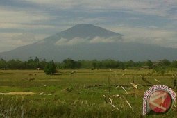Tim gabungan masih berupaya padamkan kebakaran Gunung Ciremai