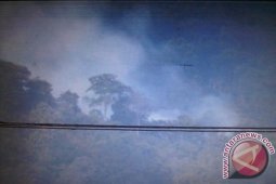 Kebakaran di TN Gunung Palung Diduga Disengaja