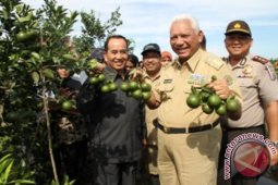 Tingkatkan Kompetensi Petani melalui Pengembangan P4S