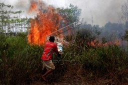 Kebakaran Lahan dan Pemukiman