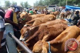 Bojonegoro Akan Pasang Label di Pedagang Daging