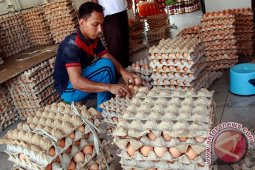 Harga telor di Lhokseumawe Rp1.500 per butir